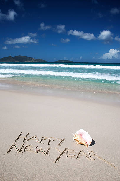 szczęśliwego nowego roku wiadomość z muszla na tropikalnej shore - 2013 beach sand new years eve zdjęcia i obrazy z banku zdjęć