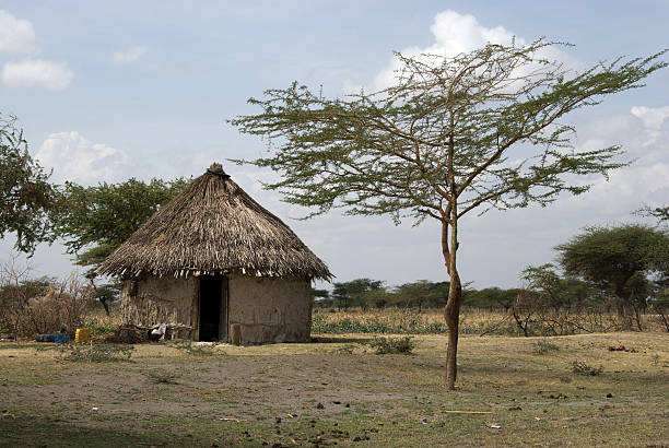 african fango casa - hut africa grass hut mud hut foto e immagini stock