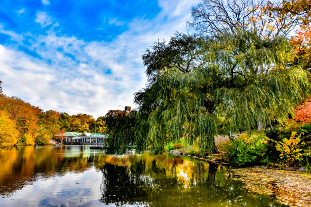 istock November Sunday Morning in Central Park 1823779072