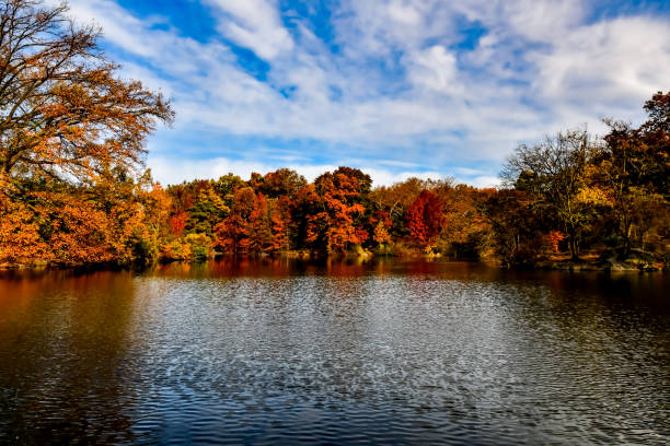 istock November Sunday Morning in Central Park 1823779082