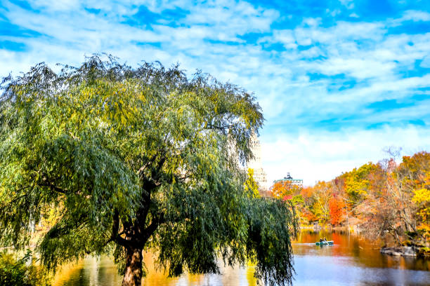 November Sunday Morning in Central Park