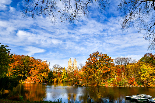 November Sunday Morning in Central Park