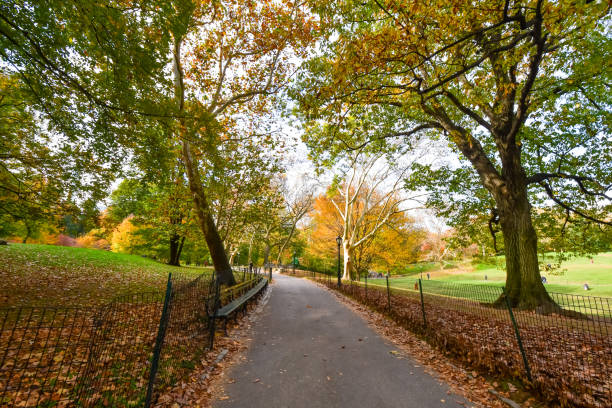 istock November Sunday Morning in Central Park 1823782033