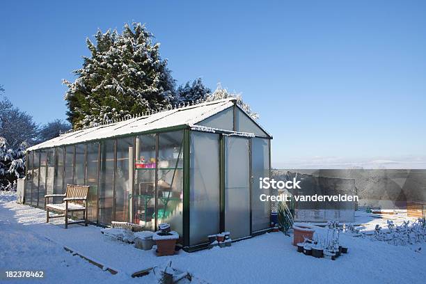 Photo libre de droit de Neige Et Frosty Winter Greenhouse banque d'images et plus d'images libres de droit de Serre - Serre, Hiver, Gelée blanche