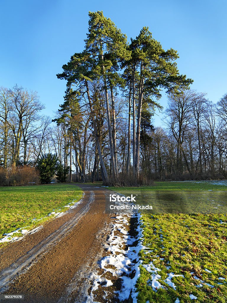 Árvores de inverno - Royalty-free Agricultura Foto de stock
