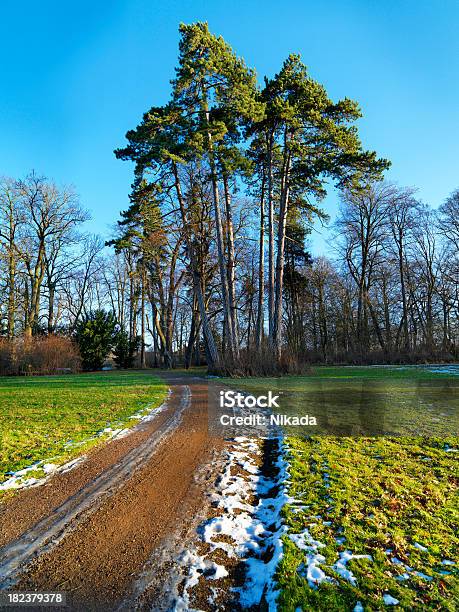 Árvores De Inverno - Fotografias de stock e mais imagens de Agricultura - Agricultura, Azul, Beleza