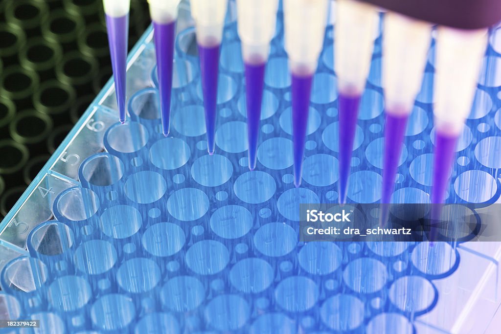 Scientific experiment biomedical experiment Laboratory Stock Photo
