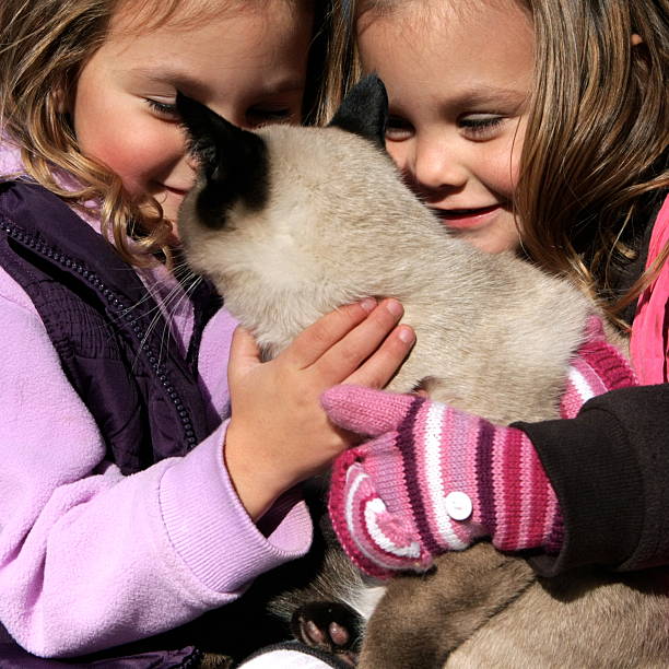 istock Little Girls with Cat 182379541