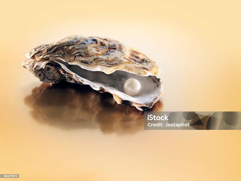 oyster con perla - Foto stock royalty-free di Perla - Ostrica