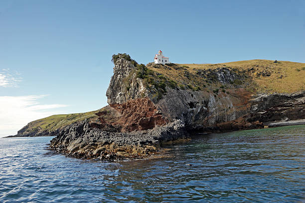 istock Dunedin New Zealand Cliffs 182379590