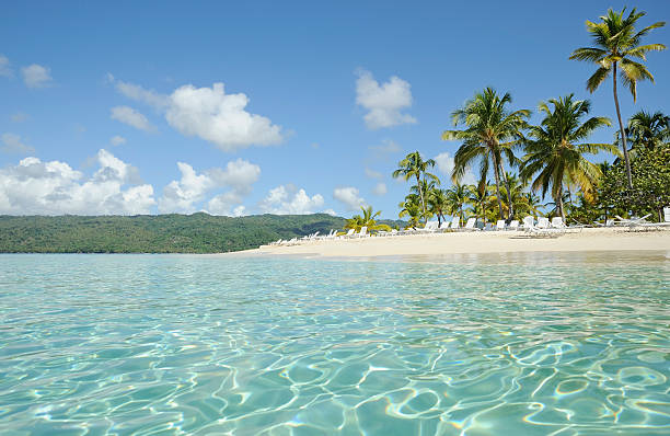 Sand beach with crystal clear water and palm trees (Cayo Levantado, Dominican Republic). More below in my beaches lightbox...