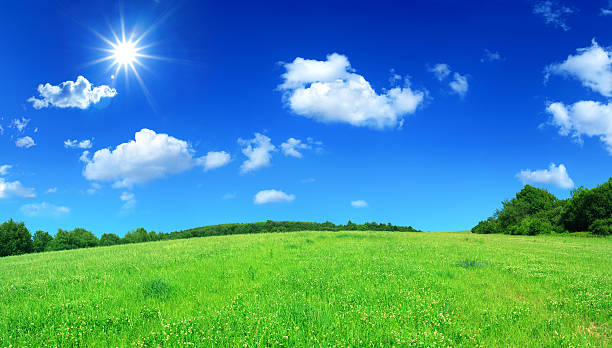 istock Green field - Landscape 182379872