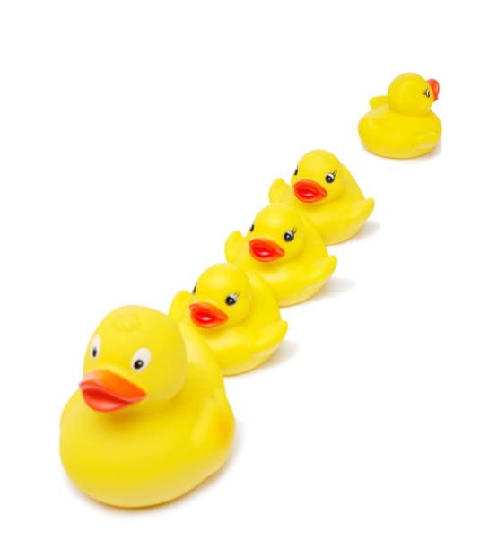 istock Line of Yellow Rubber Ducks 182380211