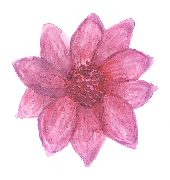 istock Painted watercolor flower 182380258