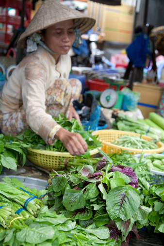 Asian woman cleaning and preparing fresh lettuce salad from farm for sale.