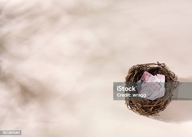 Chinesischer Yuan In Einem Nest Stockfoto und mehr Bilder von Papier - Papier, Vogelnest, Bringing home the bacon - englische Redewendung
