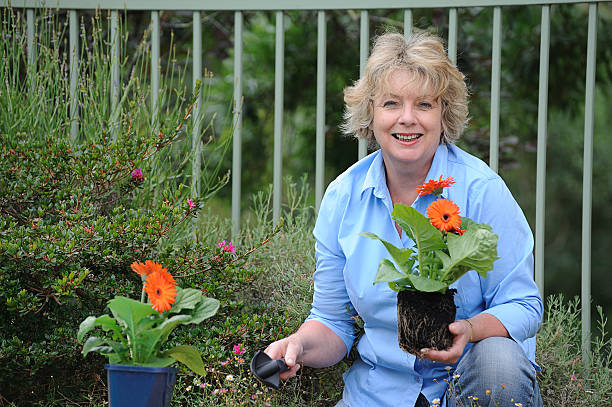 istock Senior Woman Holding Plants 182381132