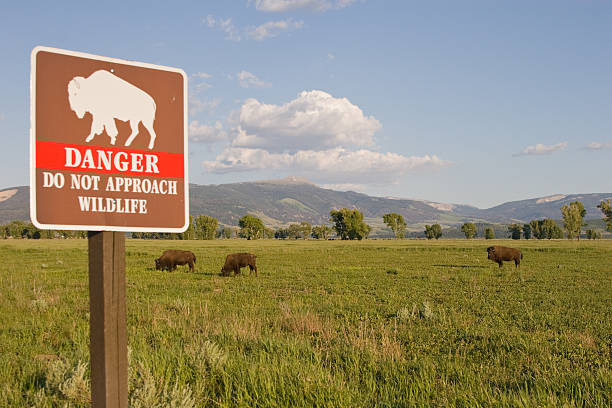 istock Wildlife Danger sign 182381350
