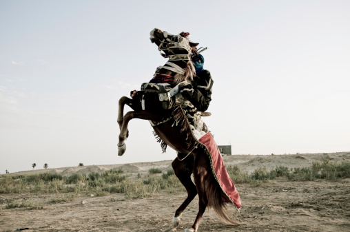 Horse rider in TunisiaOther: