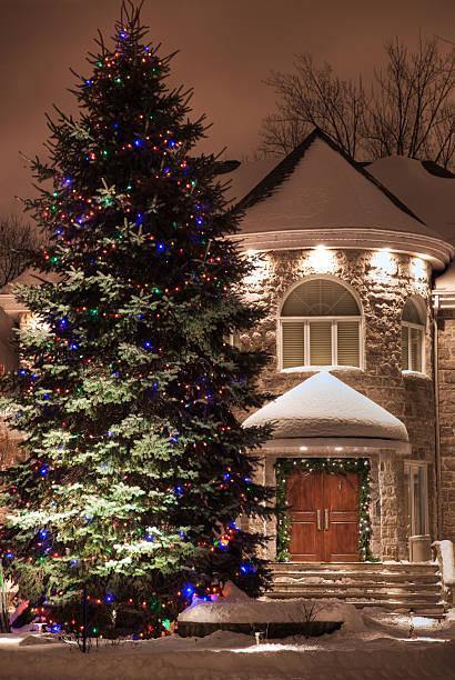 istock Luxurious House with a Christmas Tree 182381896