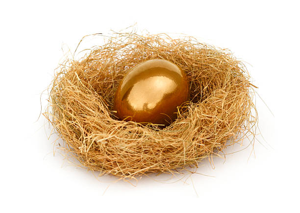 골든 알류 in 네스트 - birds nest animal nest nest egg savings 뉴스 사진 이미지
