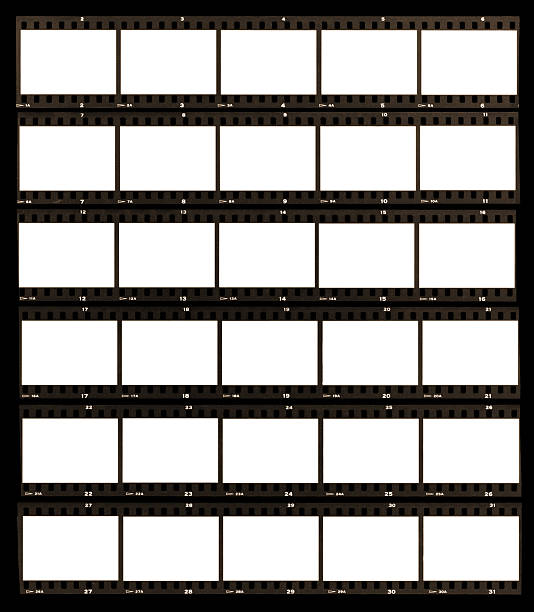 Contact sheet paper in black and white "A contact sheet of 35mm film strips, with sprocket holes and numbering visible.More darkroom elements:" contact sheet photos stock pictures, royalty-free photos & images