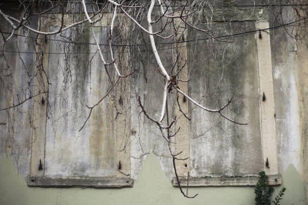 istock Abandoned old House's Windows 182382415