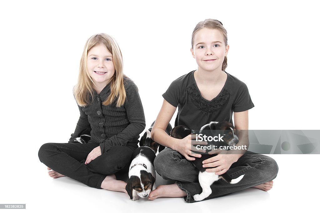 Siostry z Beagle szczeniąt na białym tle - Zbiór zdjęć royalty-free (Dziewczyny)