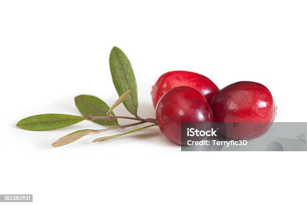 Cranberry Obst Und Blüten Nahaufnahme Stockfoto und mehr Bilder von Moosbeere - Moosbeere, Freisteller – Neutraler Hintergrund, Weißer Hintergrund