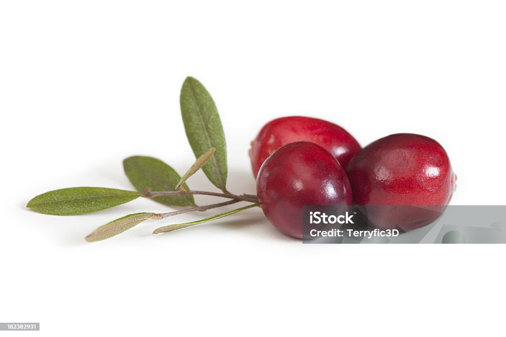 Cranberry frutas e folhas, Close Up - Foto de stock de Oxicoco royalty-free