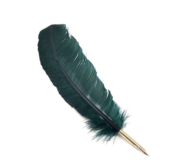istock Green quill pen, isolated on white 182382948