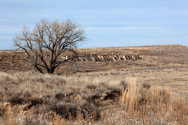 Sand Creek Massacre National Historic Site, Colorado "Late November day at the Sand Creek Massacre National Historic Site in southeast Colorado. On November 29, 1864, the U.S. troops under Colonel Chivington attacked and killed at least 165 friendly Cheyenne and Arapahoe indians. Those that survived including Chief Black Kettle fled north." Massacre stock pictures, royalty-free photos & images