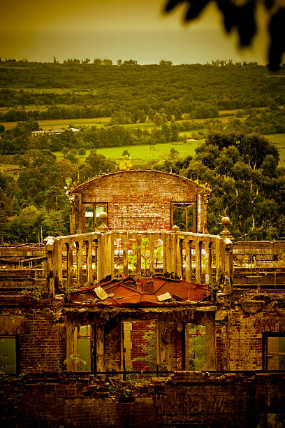 abandonado palace - forest colonnade tree old fashioned - fotografias e filmes do acervo