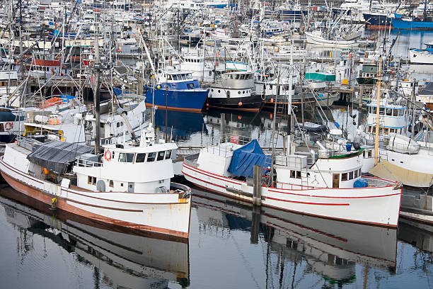 istock Commercial Fishing Fleet 182383886