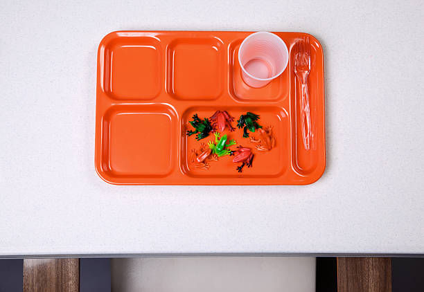 environmental food -orange lunch tray diet series