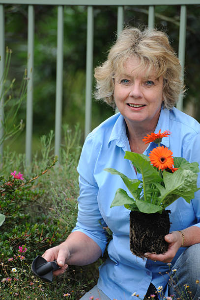 istock Senior Woman Planting 182384509