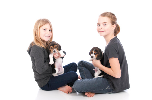 Playing with puppies on a white background.