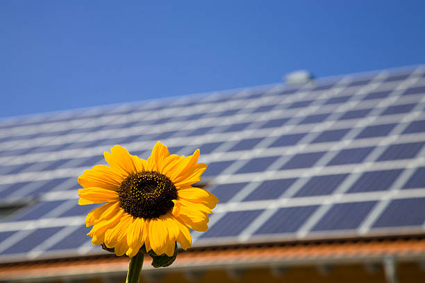 casa con paneles solares y un girasol - eos5d fotografías e imágenes de stock