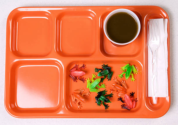 istock environmental food -orange lunch tray diet series 182385068