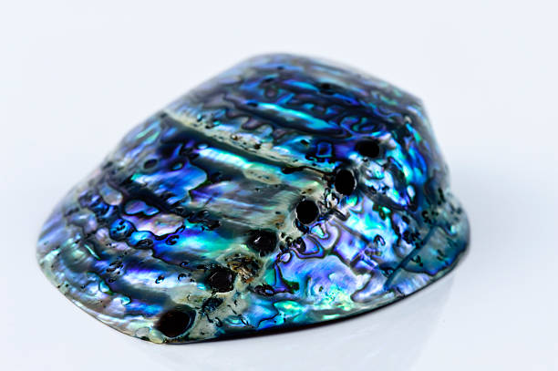 istock Mother of pearl Abalone shell colorful isolated on white 182385318