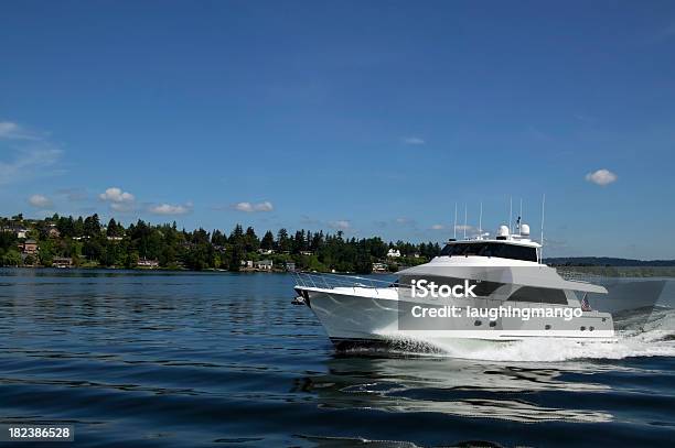 Motor Yacht Di Lusso - Fotografie stock e altre immagini di Lago Washington - Lago Washington, Libertà, Crociera