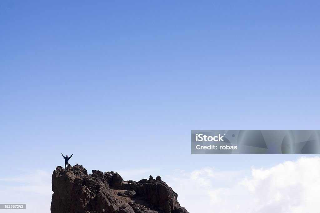 Hombre de pie en la cima del mundo - Foto de stock de Adulto libre de derechos