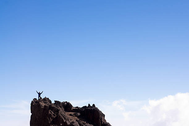 istock Man standing on top of the world 182387243