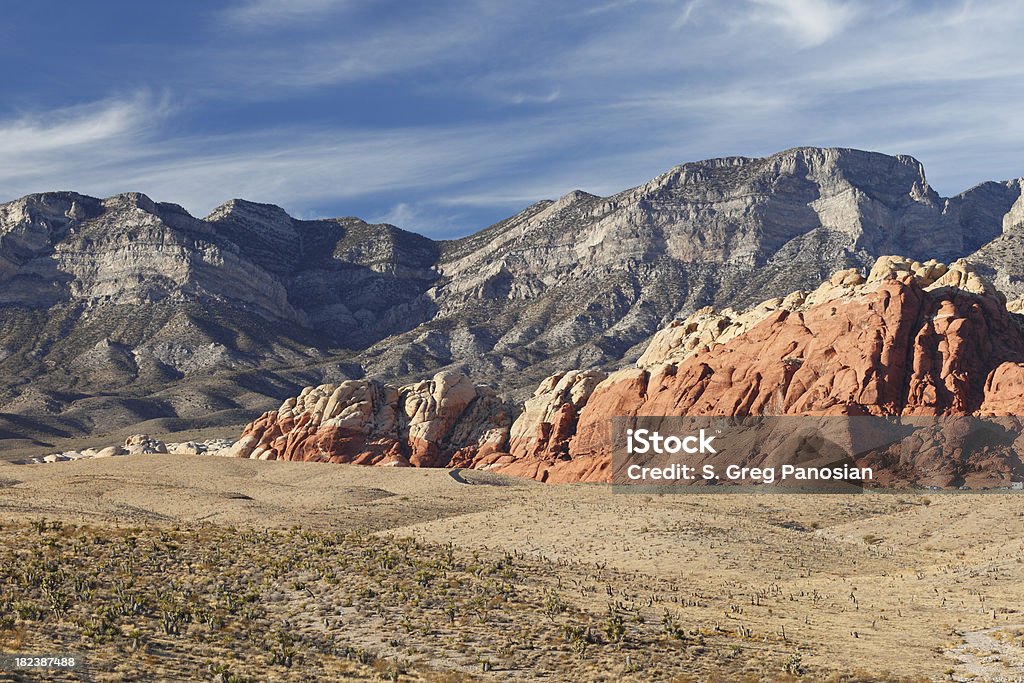 Red Rock Canyon - Zbiór zdjęć royalty-free (Bez ludzi)