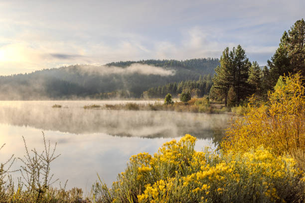 istock Cloudy morning at Spooner Lake, Nevada 1823877365
