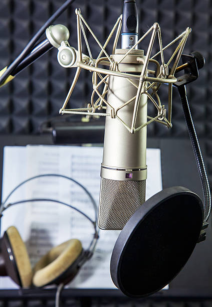 istock Condenser microphone  in vocal recording room 182387788