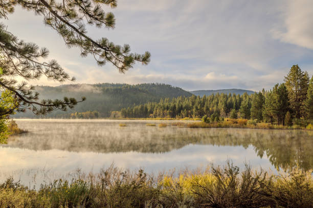 istock Cloudy morning at Spooner Lake, Nevada 1823878040