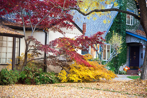 istock Autumn in Sacramento 182387976