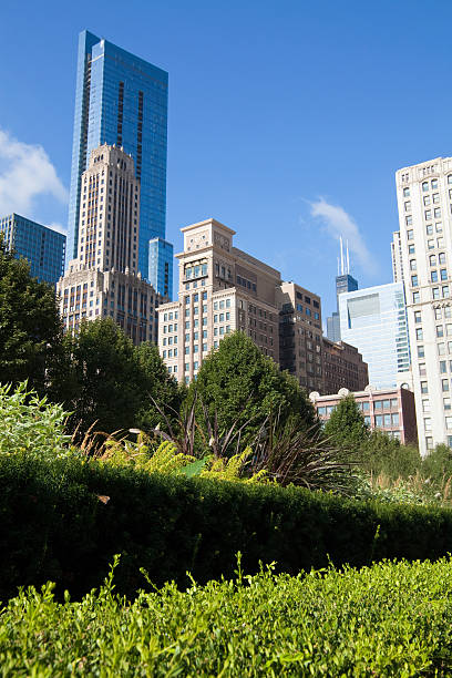 istock Chicago Skywall from Millennium Park 182388089