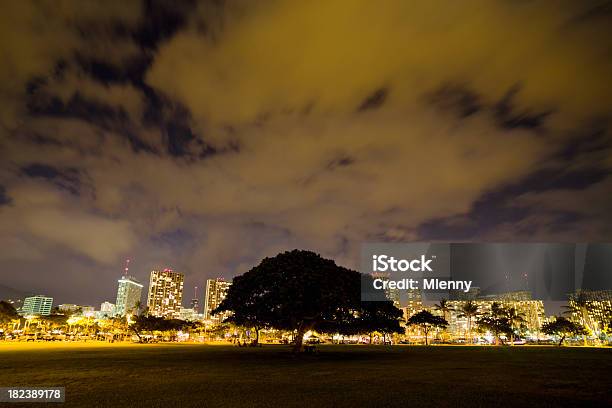 Samotny Drzewo Honolulu Piknik W Parku W Nocy Oahu Hawaje Usa - zdjęcia stockowe i więcej obrazów Hawaje